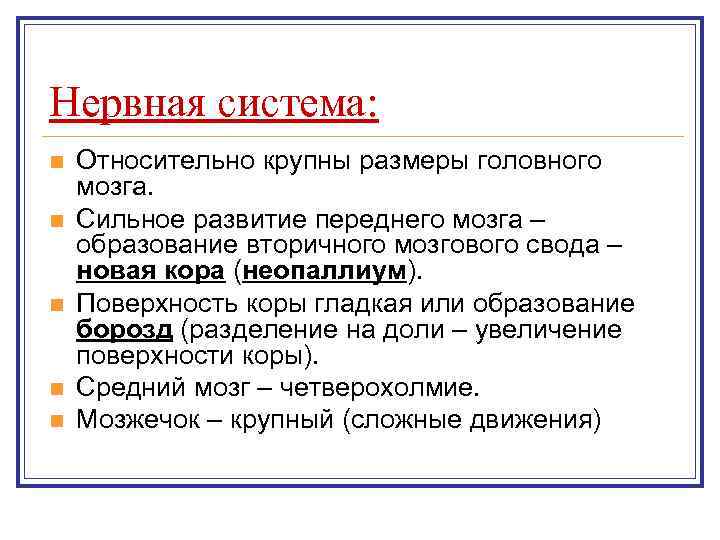 Нервная система: n  Относительно крупны размеры головного мозга. n  Сильное развитие переднего