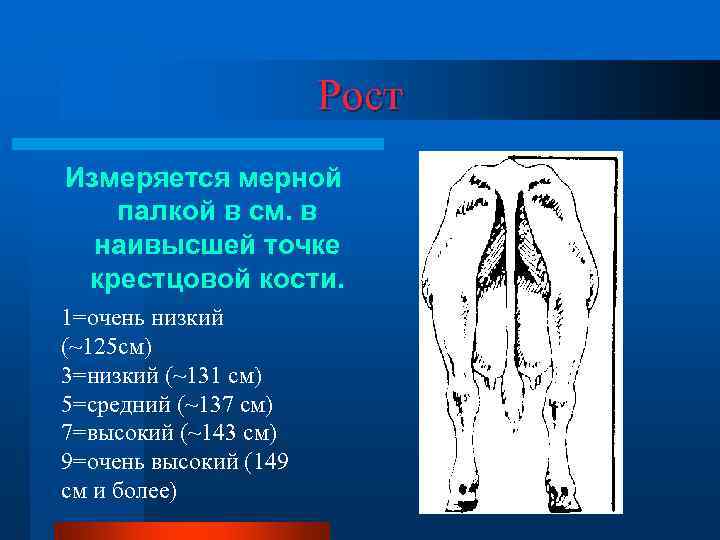 Экстерьер интерьер конституция сельскохозяйственных животных