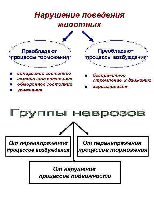    Нарушение поведения    животных  Преобладают процессы торможения 