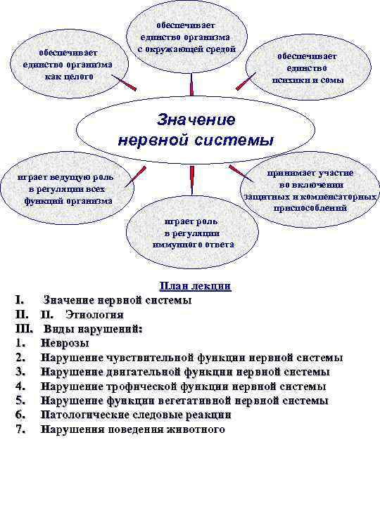       обеспечивает     единство организма обеспечивает