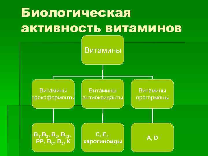 Биологическая активность витаминов    Витамины прокоферменты антиоксиданты  прогормоны В 1, В