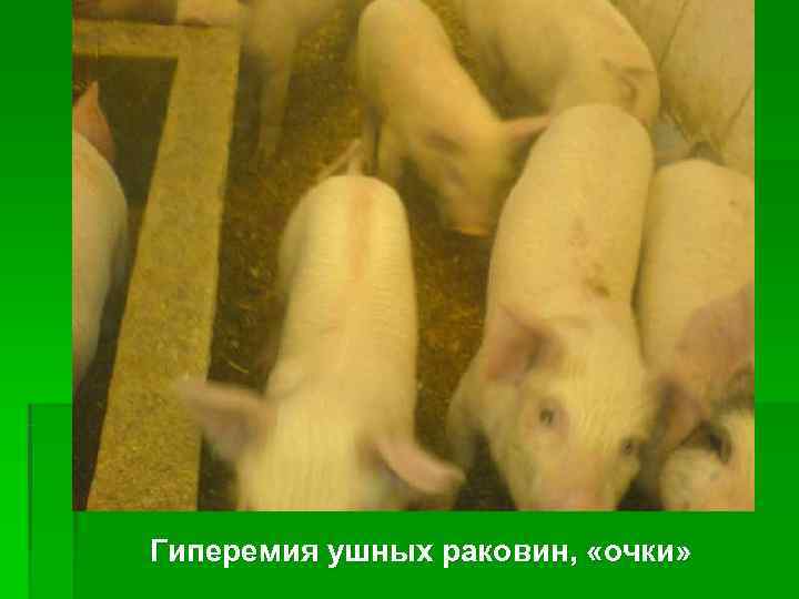 Гиперемия ушных раковин,  «очки» 