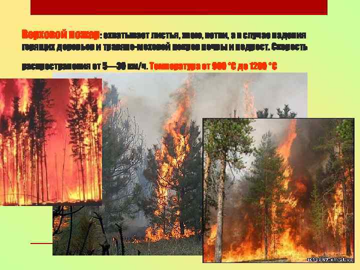 Верховой пожар: охватывает листья, хвою, ветви, а в случае падения горящих деревьев и травяно-моховой