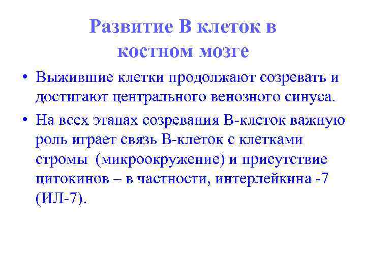 Развитие В клеток в костном мозге • Выжившие клетки продолжают созревать и достигают центрального