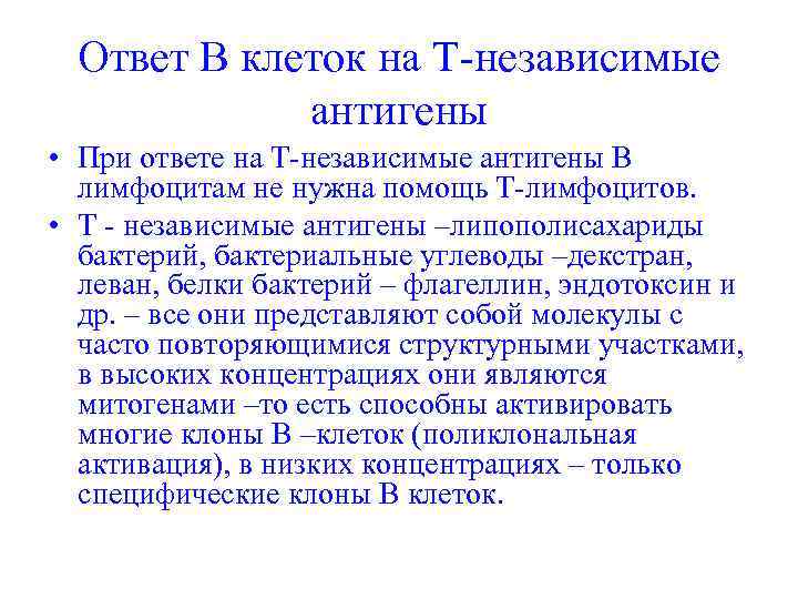 Ответ В клеток на Т-независимые антигены • При ответе на Т-независимые антигены В лимфоцитам