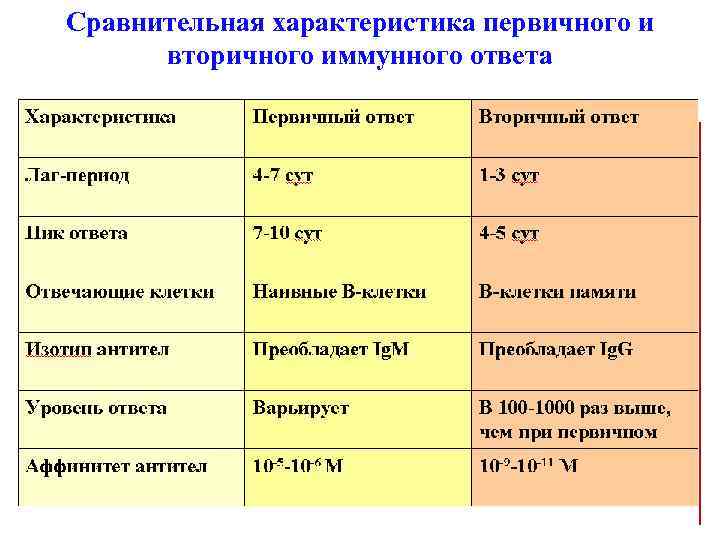 Сравнительная характеристика первичного и вторичного иммунного ответа 