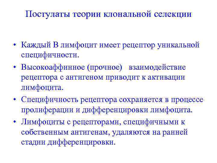 Постулаты теории клональной селекции • Каждый В лимфоцит имеет рецептор уникальной специфичности. • Высокоаффинное