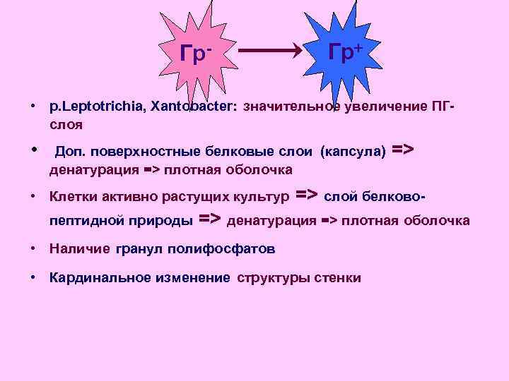     Гр-   Гр+  • p. Leptotrichia, Xantobacter: значительное