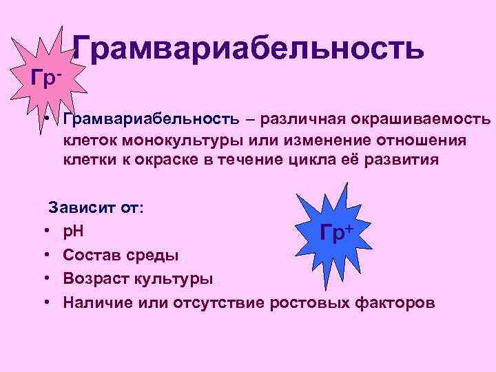  Грамвариабельность Гр-  • Грамвариабельность – различная окрашиваемость  клеток монокультуры или изменение