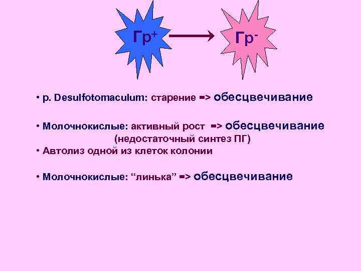    Гр+    Гр-  • р. Desulfotomaculum: старение =>