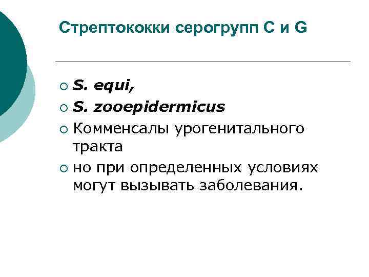 Стрептококки серогрупп С и G  ¡ S. equi, ¡ S. zooepidermicus ¡ Комменсалы