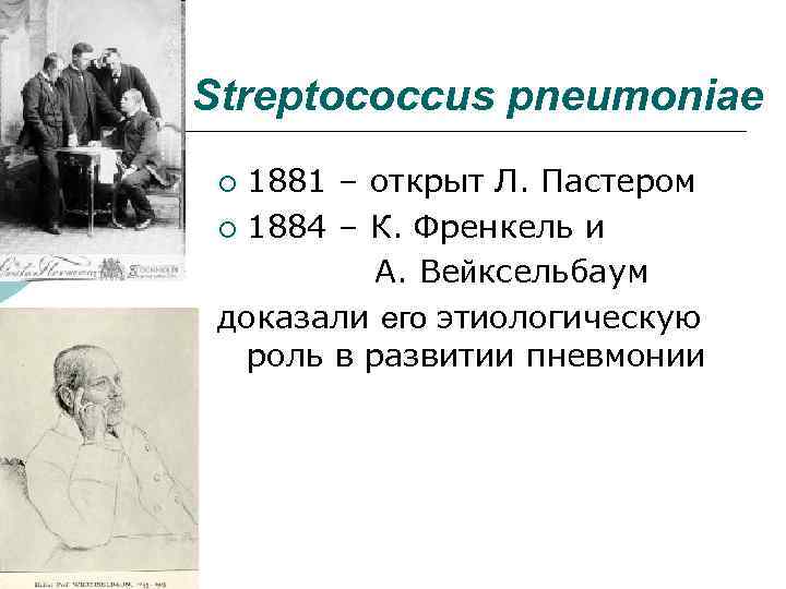 Streptococcus pneumoniae ¡ 1881 – открыт Л. Пастером ¡ 1884 – К. Френкель и