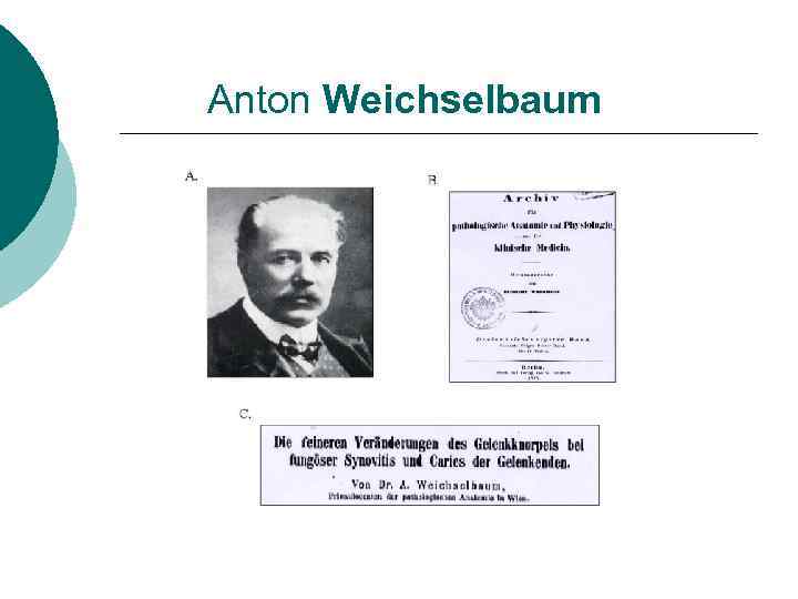 Anton Weichselbaum 