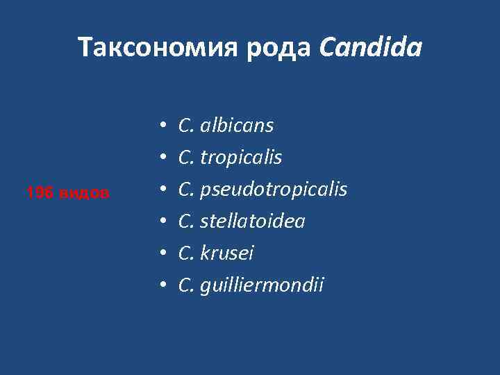  Таксономия рода Candida    •  C. albicans   •