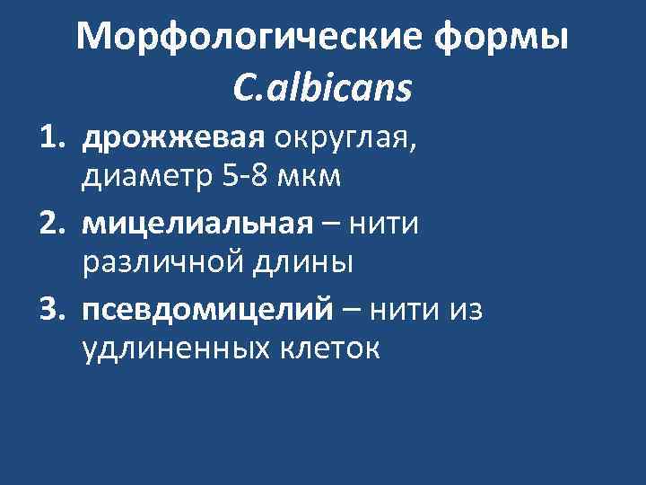  Морфологические формы   C. albicans 1. дрожжевая округлая, диаметр 5 -8 мкм