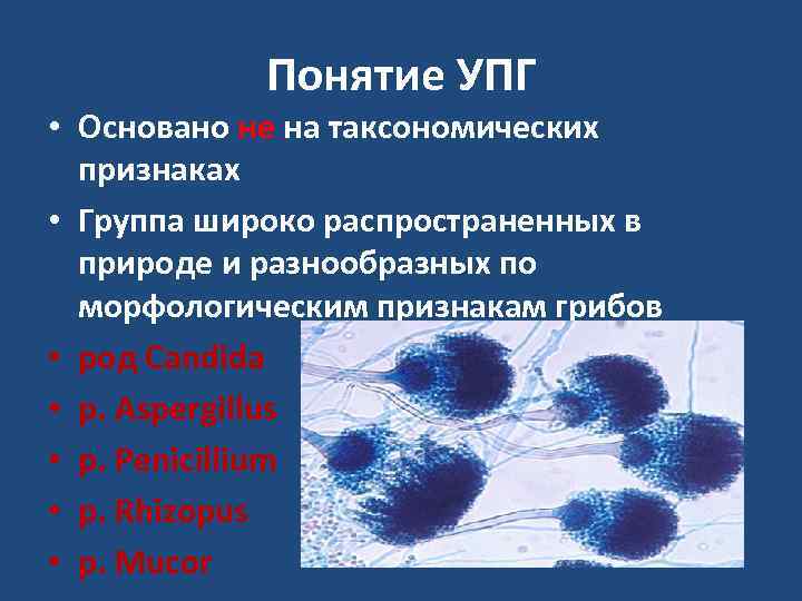   Понятие УПГ • Основано не на таксономических  признаках • Группа широко