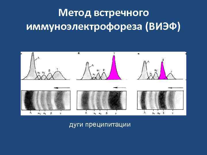 Метод встречного иммуноэлектрофореза (ВИЭФ)  дуги преципитации 