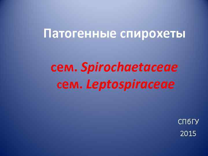 Патогенные спирохеты  сем. Spirochaetaceae  сем. Leptospiraceae     СПб. ГУ