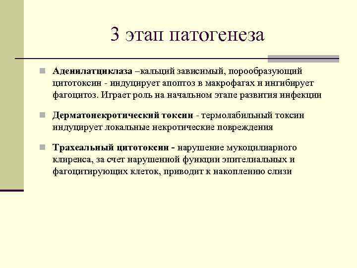    3 этап патогенеза n Аденилатциклаза –кальций зависимый, порообразующий  цитотоксин -