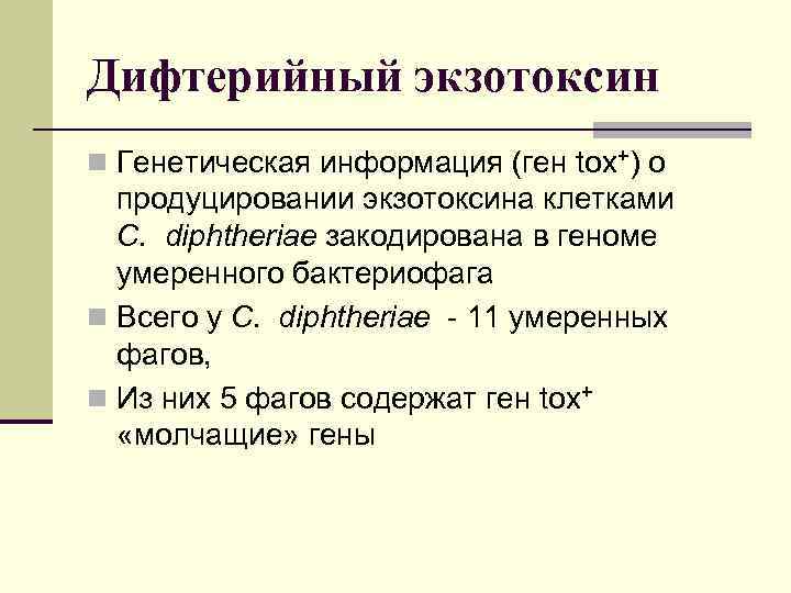 Дифтерийный экзотоксин n Генетическая информация (ген tox+) о  продуцировании экзотоксина клетками  C.