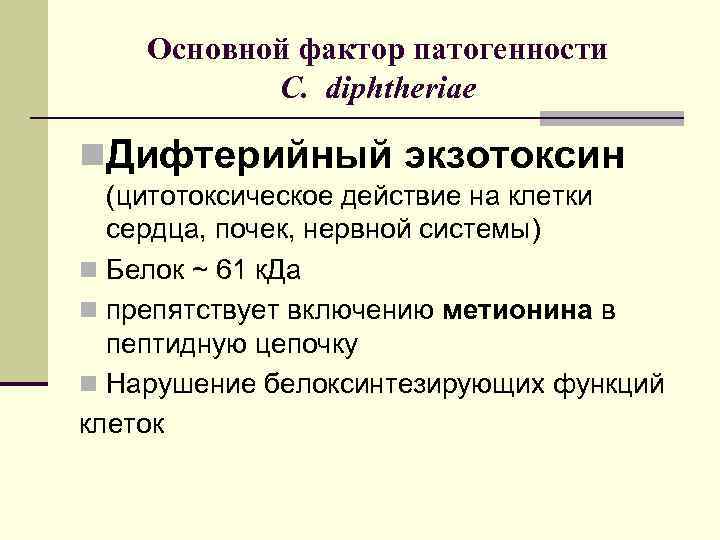   Основной фактор патогенности  C. diphtheriae n. Дифтерийный экзотоксин  (цитотоксическое действие