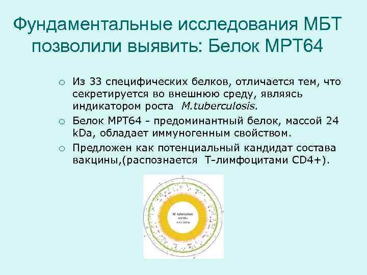 Фундаментальные исследования МБТ позволили выявить: Белок MPT 64 ¡  Из 33 специфических белков,