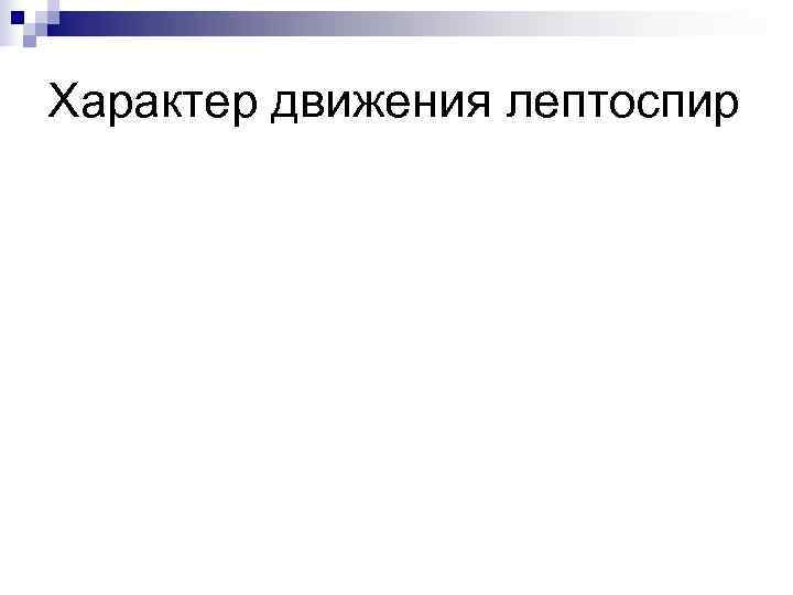 Характер движения лептоспир 