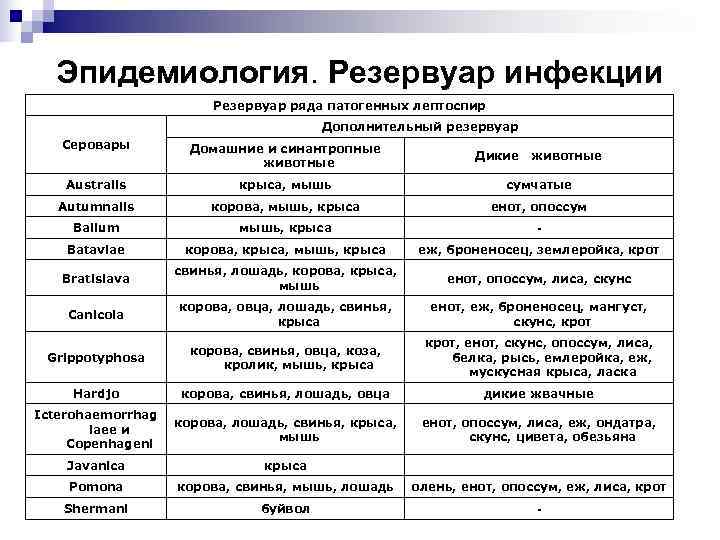  Эпидемиология. Резервуар инфекции     Резервуар ряда патогенных лептоспир  