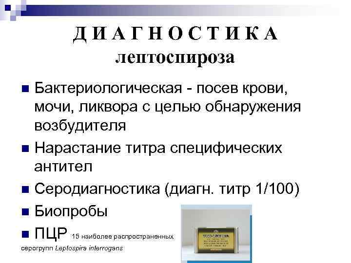     ДИАГНОСТИКА    лептоспироза n Бактериологическая - посев крови,