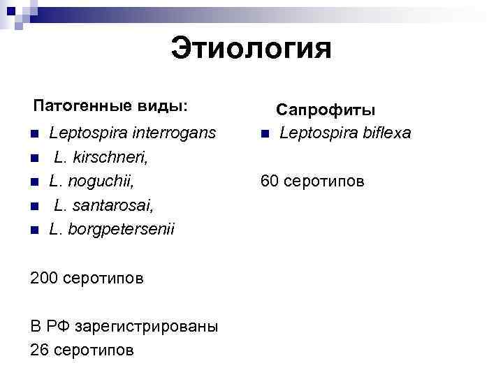     Этиология Патогенные виды:   Сапрофиты n  Leptospira interrogans
