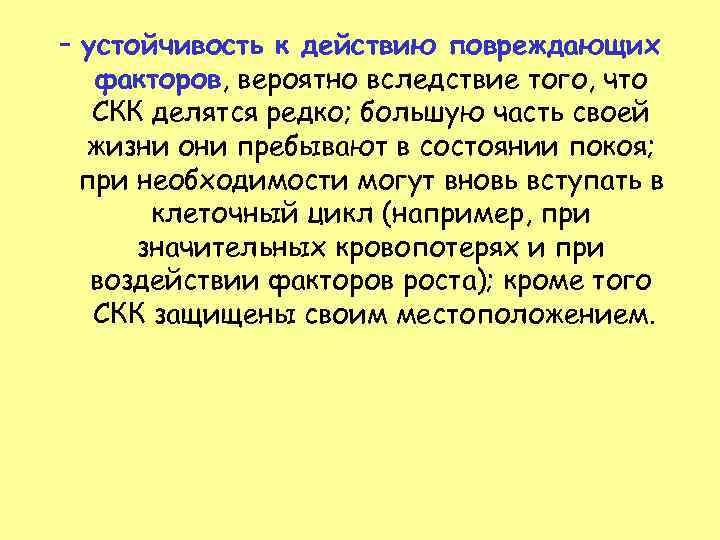 – устойчивость к действию повреждающих  факторов, вероятно вследствие того, что  СКК делятся