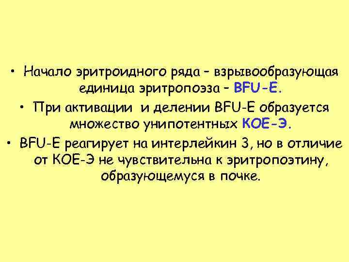  • Начало эритроидного ряда – взрывообразующая  единица эритропоэза – BFU-E. • При