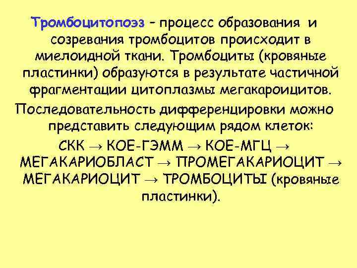  Тромбоцитопоэз – процесс образования и созревания тромбоцитов происходит в  миелоидной ткани. Тромбоциты