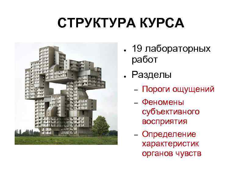 СТРУКТУРА КУРСА  ●  19 лабораторных  работ  ●  Разделы 