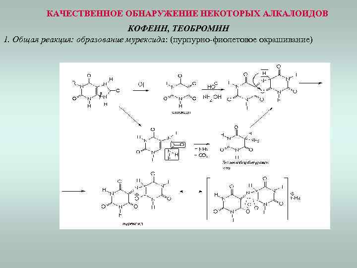 КАЧЕСТВЕННОЕ ОБНАРУЖЕНИЕ НЕКОТОРЫХ АЛКАЛОИДОВ КОФЕИН, ТЕОБРОМИН 1. Общая реакция: образование мурексида: (пурпурно-фиолетовое окрашивание) 
