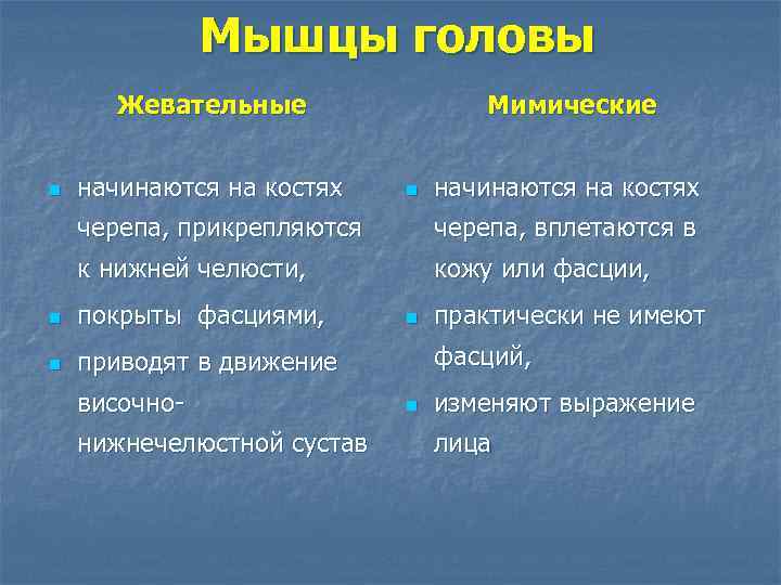 Мышцы головы Жевательные n начинаются на костях Мимические n начинаются на костях черепа, прикрепляются