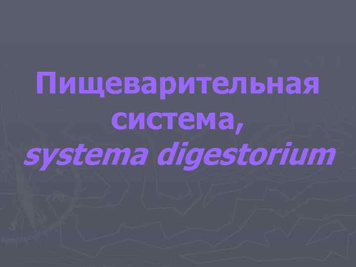 Пищеварительная система, systema digestorium 