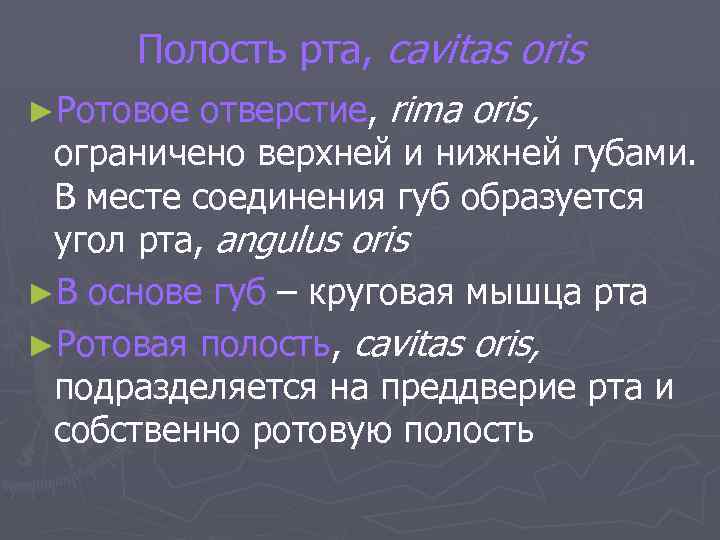 Полость рта, cavitas oris ►Ротовое отверстие, rima oris, ограничено верхней и нижней губами. В