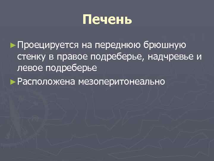 Печень ► Проецируется на переднюю брюшную стенку в правое подреберье, надчревье и левое подреберье