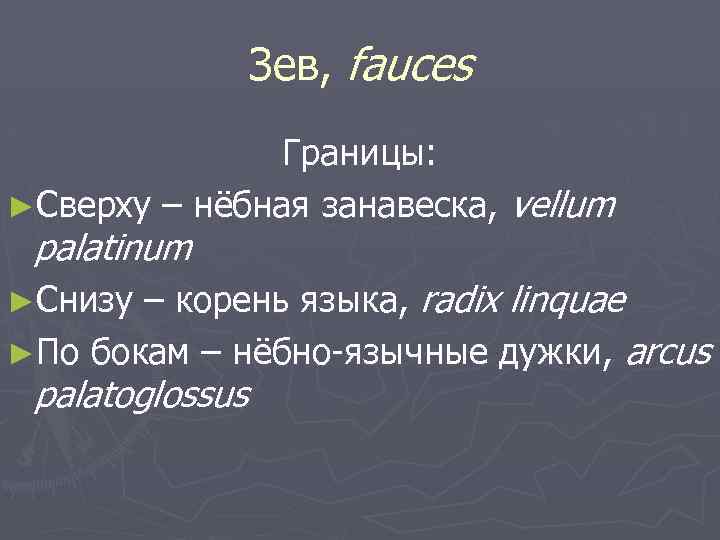 Зев, fauces Границы: ►Сверху – нёбная занавеска, vellum palatinum – корень языка, radix linquae