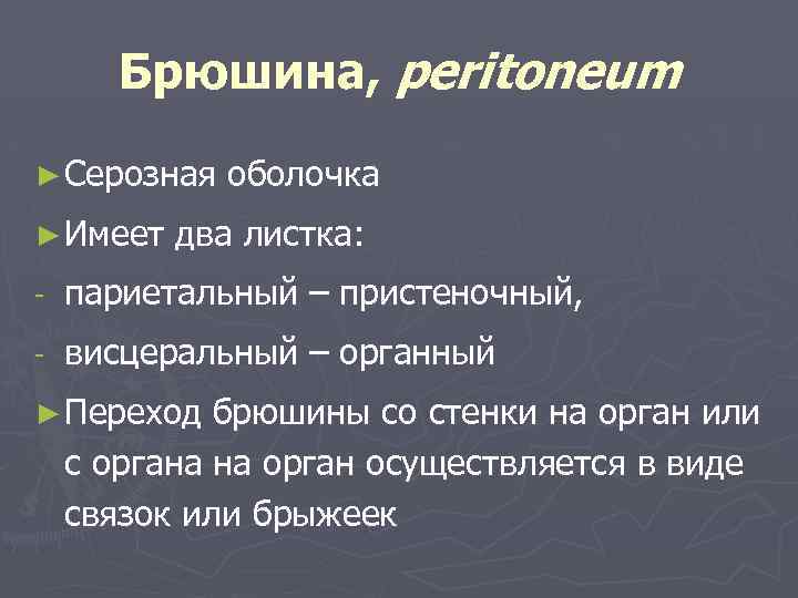 Брюшина, peritoneum ► Серозная ► Имеет оболочка два листка: - париетальный – пристеночный, -