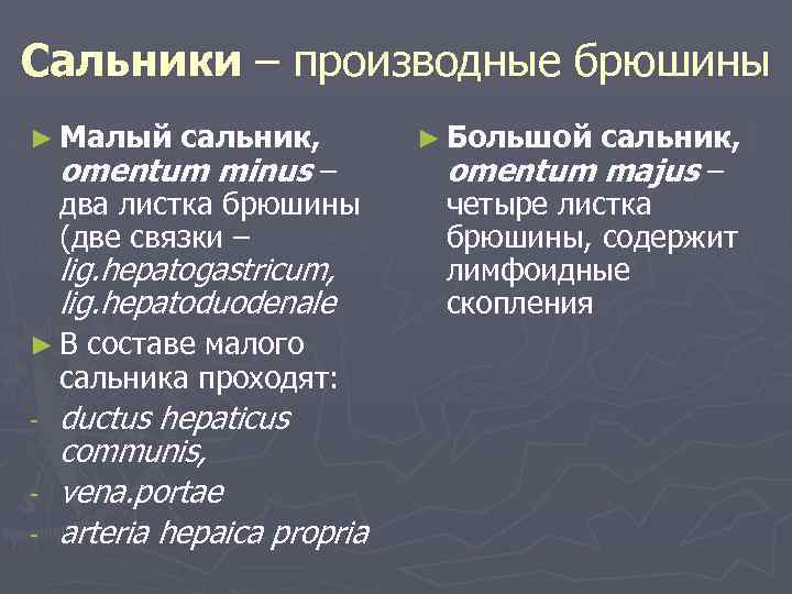 Сальники – производные брюшины ► Малый сальник, omentum minus – два листка брюшины (две