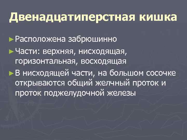 Двенадцатиперстная кишка ► Расположена забрюшинно ► Части: верхняя, нисходящая, горизонтальная, восходящая ► В нисходящей