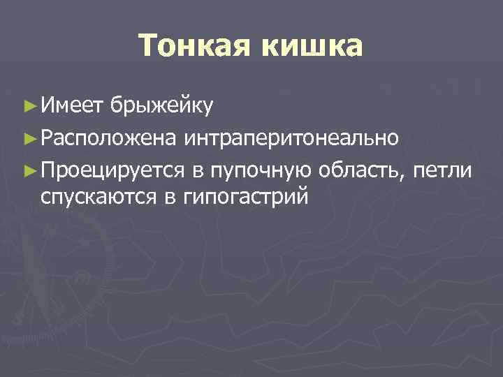 Тонкая кишка ► Имеет брыжейку ► Расположена интраперитонеально ► Проецируется в пупочную область, петли