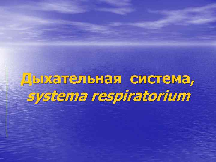 Дыхательная система, systema respiratorium 