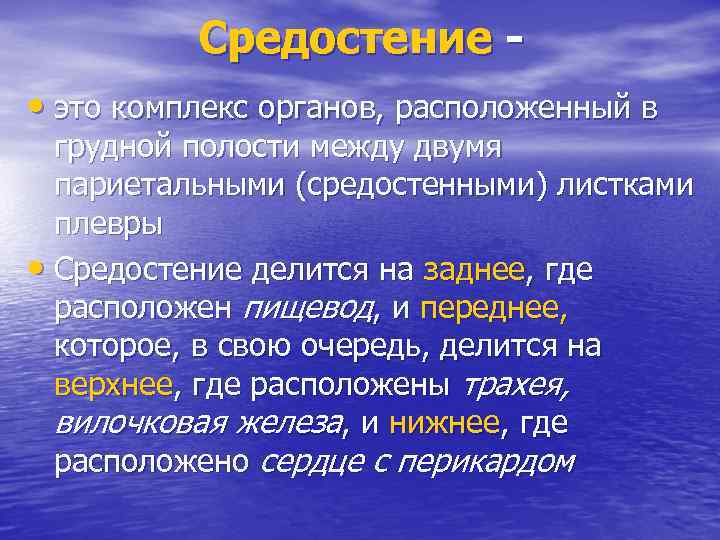 Средостение • это комплекс органов, расположенный в грудной полости между двумя париетальными (средостенными) листками