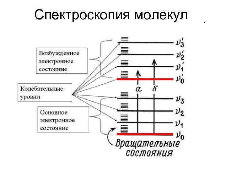 Спектроскопия молекул 