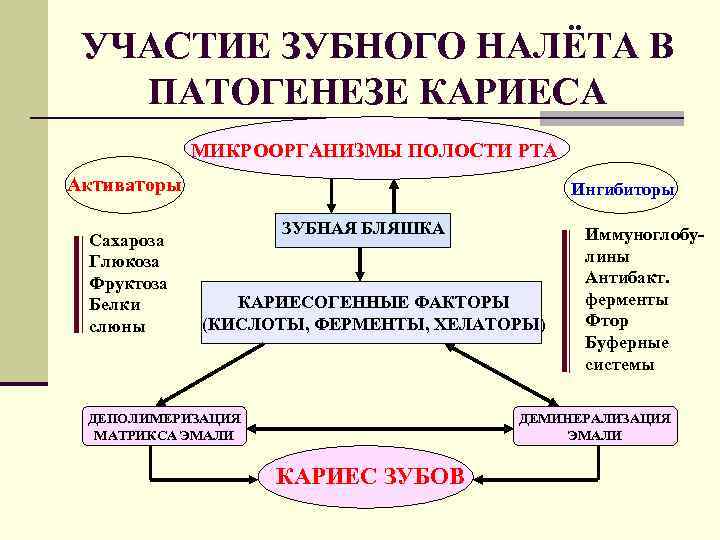 УЧАСТИЕ ЗУБНОГО НАЛЁТА В ПАТОГЕНЕЗЕ КАРИЕСА МИКРООРГАНИЗМЫ ПОЛОСТИ РТА Активаторы Сахароза Глюкоза Фруктоза Белки