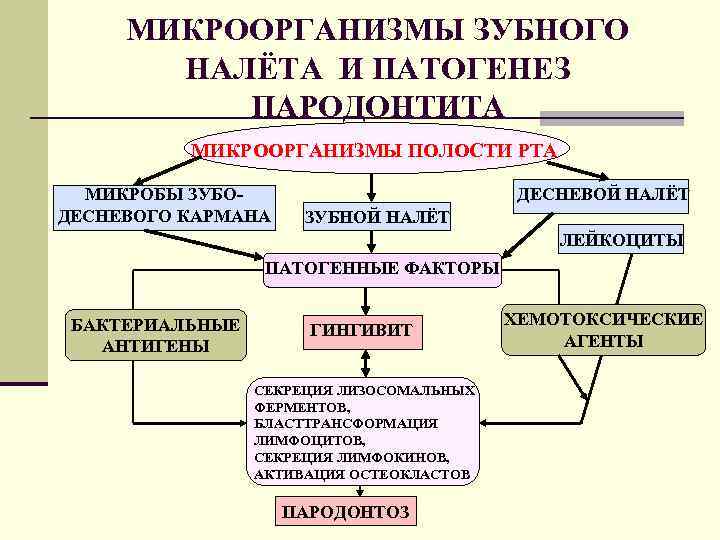МИКРООРГАНИЗМЫ ЗУБНОГО НАЛЁТА И ПАТОГЕНЕЗ ПАРОДОНТИТА МИКРООРГАНИЗМЫ ПОЛОСТИ РТА МИКРОБЫ ЗУБОДЕСНЕВОГО КАРМАНА ДЕСНЕВОЙ НАЛЁТ