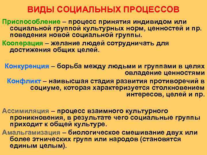 ВИДЫ СОЦИАЛЬНЫХ ПРОЦЕССОВ Приспособление – процесс принятия индивидом или  социальной группой культурных